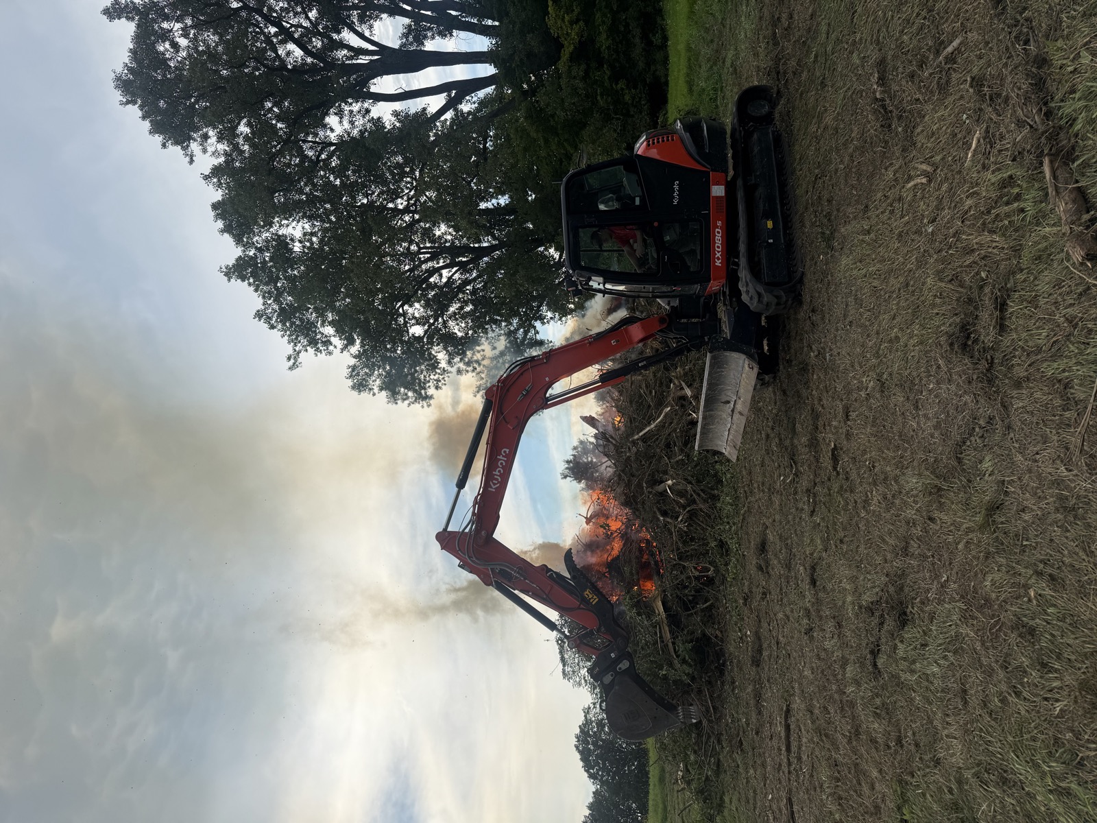 Land Clearing & Forestry Mulching in West/Central Ohio